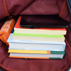 Rucsac-dama-Deli-Albastru-5-interior