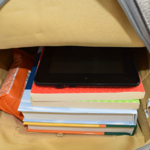 Rucsac-dama-Ella-Argintiu-5-interior