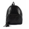 Rucsac-dama-Chante-Noir-1-fata